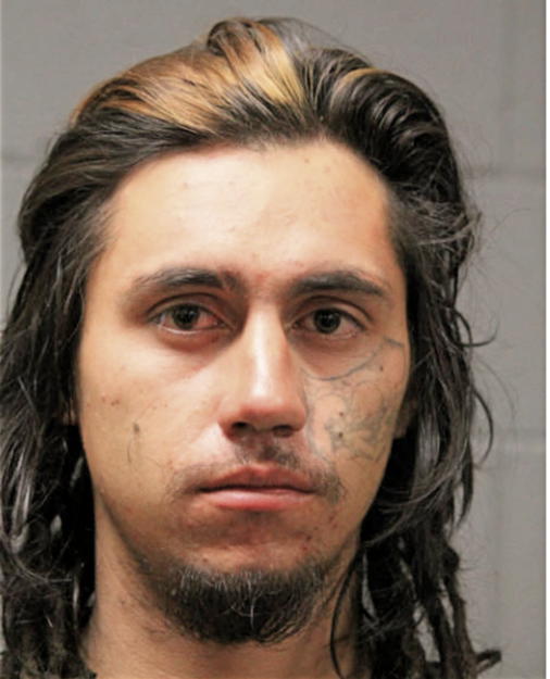 DAVID A HERRERA, Cook County, Illinois