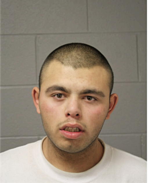 CHRISTOPHER S JOHNS, Cook County, Illinois