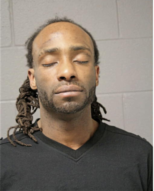 JAMES L JOHNSON, Cook County, Illinois
