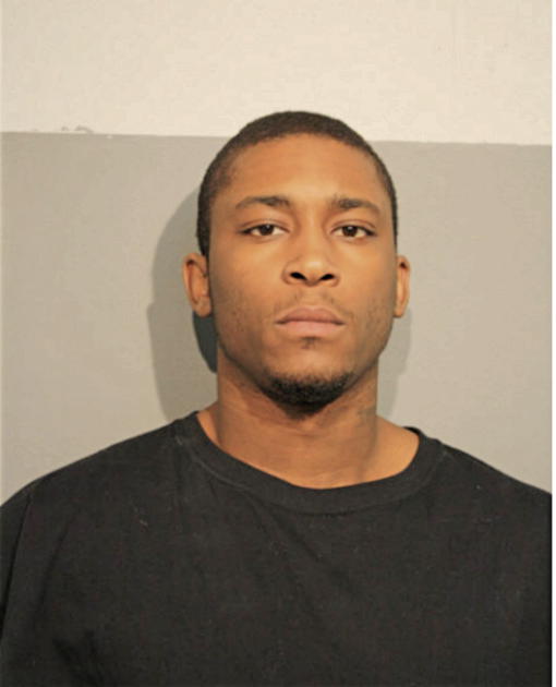 TERRANCE L KIRKSEY, Cook County, Illinois