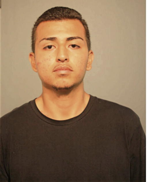 ERIK J LOPEZ, Cook County, Illinois