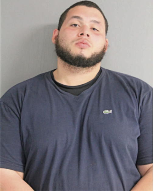 JOEL PERKINS, Cook County, Illinois