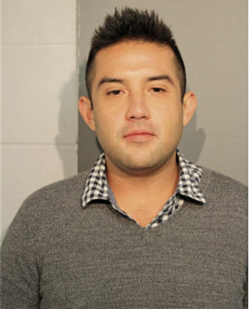 ADRIAN A RODRIGUEZ, Cook County, Illinois
