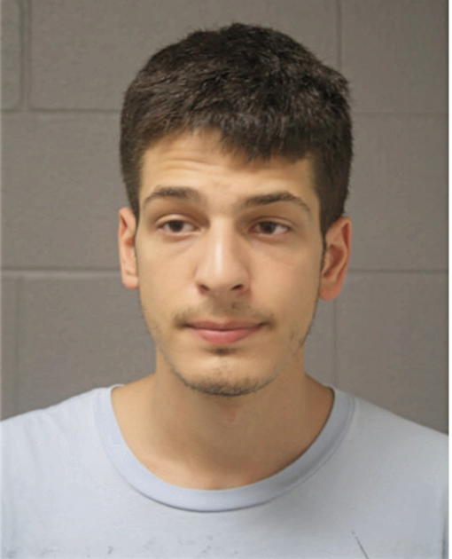 ADAM M SENASE, Cook County, Illinois