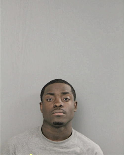 DASHAWN J SHINAUL, Cook County, Illinois