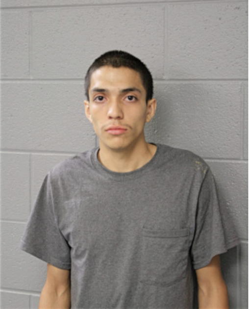 ARTURO VEGA, Cook County, Illinois