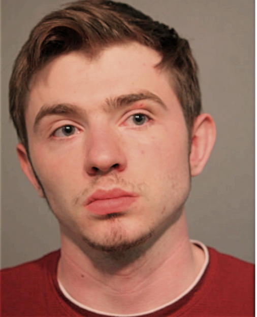 JACOB VELDE, Cook County, Illinois