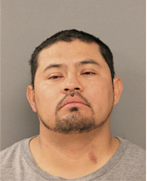 SILVESTRE BAHENA-ANDRADE, Cook County, Illinois