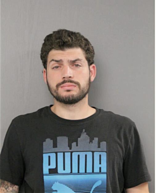 VINCENT BALDASSANO, Cook County, Illinois