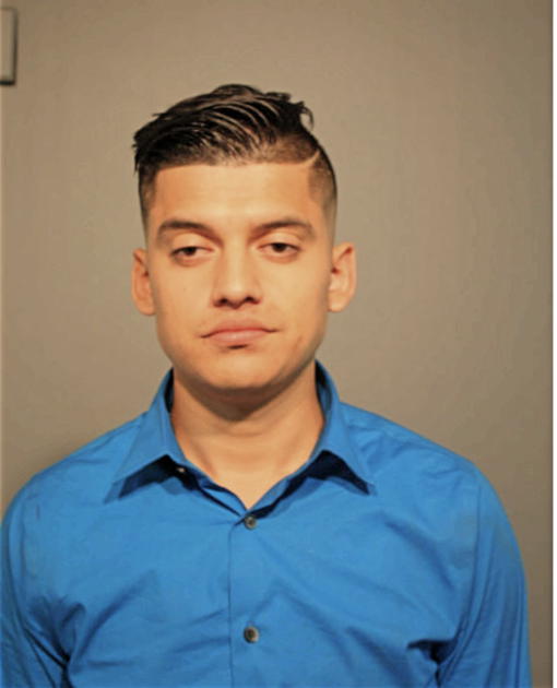 MIGUEL A BERMUDEZ, Cook County, Illinois