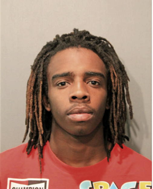DION I BROWN, Cook County, Illinois