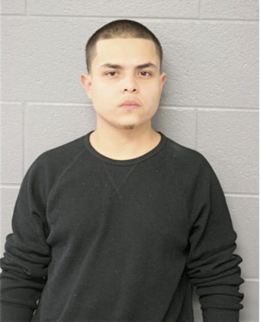 HERIBERTO CARBAJAL, Cook County, Illinois