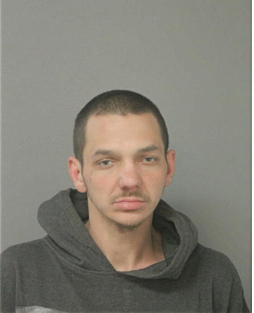 BRIAN HAMILTON, Cook County, Illinois