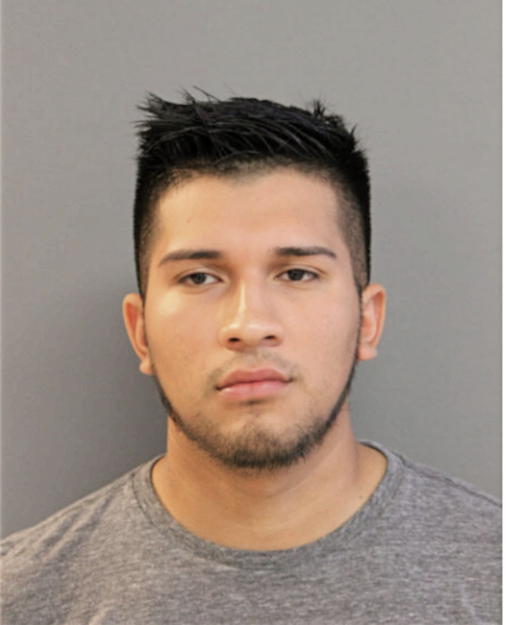 JOEL HERNANDEZ, Cook County, Illinois