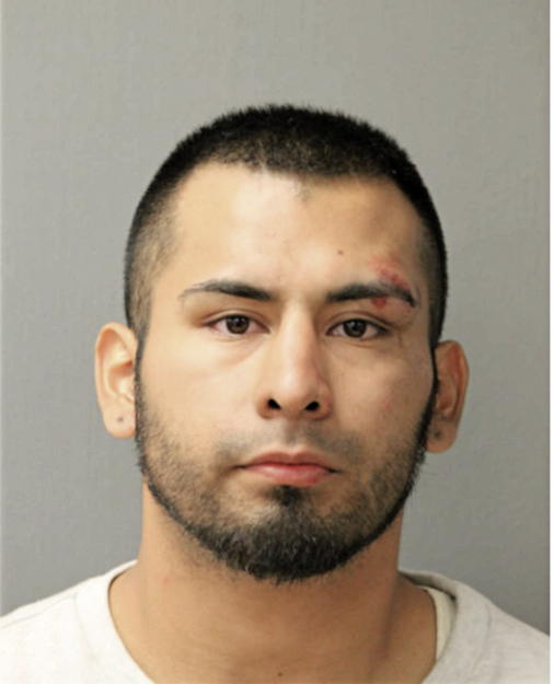 ISRAEL ILAGORRE, Cook County, Illinois