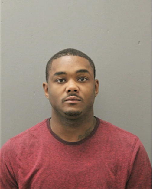 BRUCE A JAMES, Cook County, Illinois