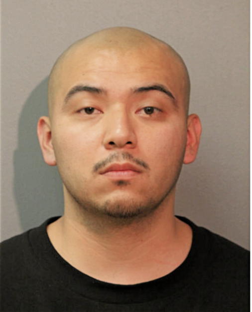 JESUS LAGUNAS, Cook County, Illinois