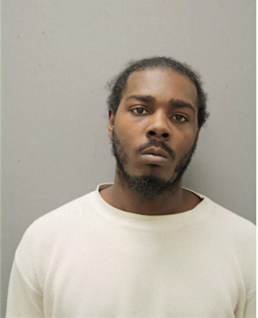 DAVID J LEWIS, Cook County, Illinois