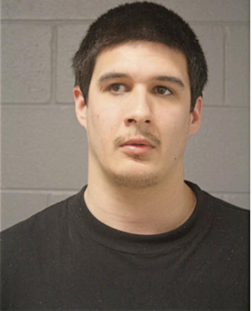 BRYAN MCQUEEN, Cook County, Illinois
