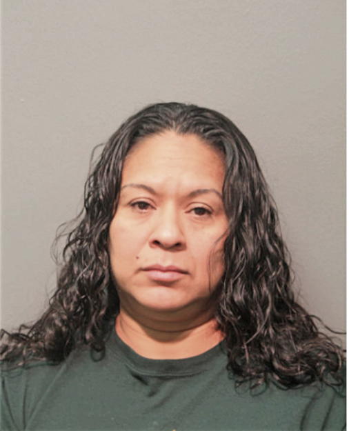 ANA L MEDINA, Cook County, Illinois
