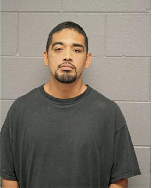 DAVID NAJERA, Cook County, Illinois