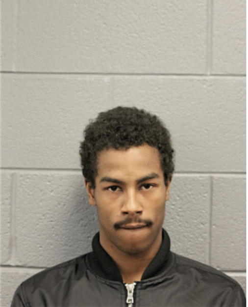 AMONTE R BURNETT, Cook County, Illinois