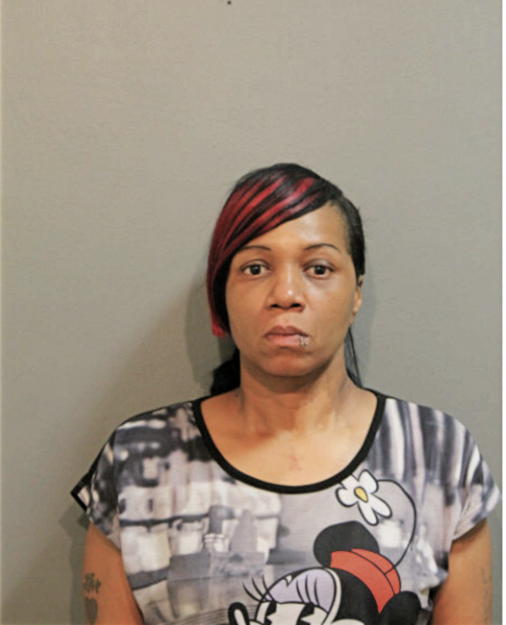KIMBERLY L SANDERS, Cook County, Illinois