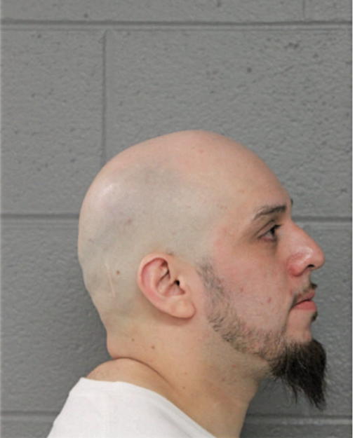 SANTIAGO TORRES, Cook County, Illinois