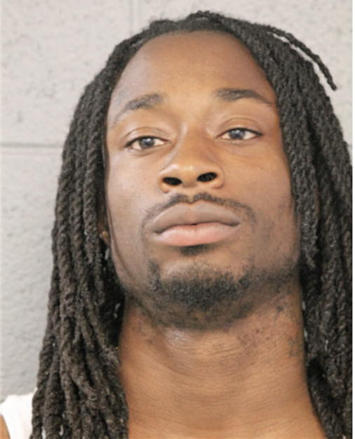 CHRISTOPHER J TURNIPSEED, Cook County, Illinois