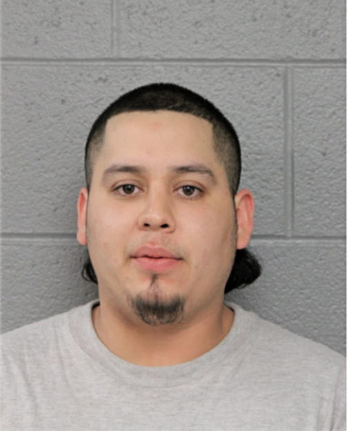 GERARDO A VILLARREAL, Cook County, Illinois