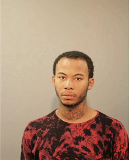 JOEL B WILLIAMS, Cook County, Illinois