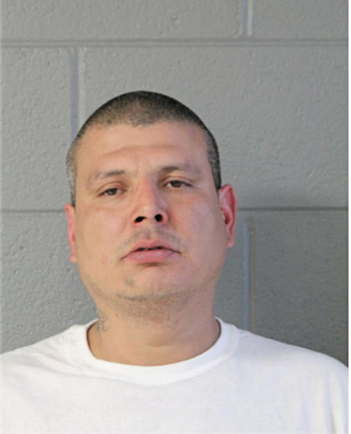 JESSE R ANAYA, Cook County, Illinois