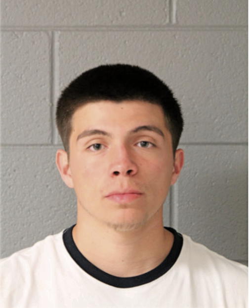 JULIAN A ARROYO, Cook County, Illinois