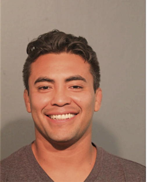 MICHAEL A AVELAR, Cook County, Illinois