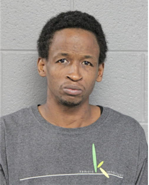 BRIAN D CHRISTIAN, Cook County, Illinois