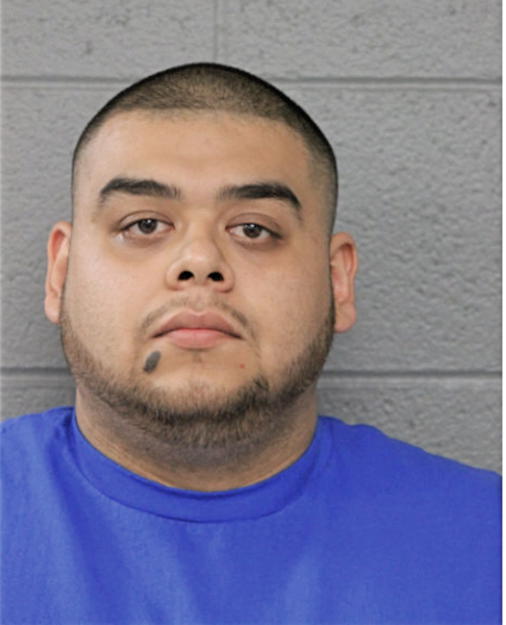 JOSE M DELGADO, Cook County, Illinois