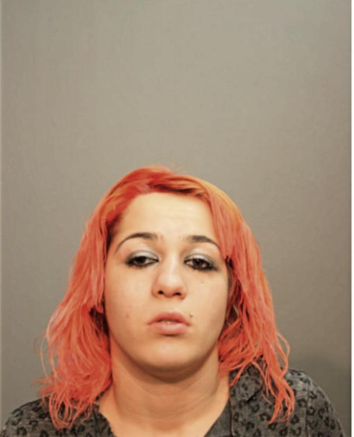 SINEM ERGUL, Cook County, Illinois