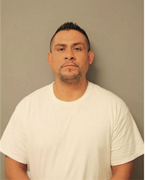 ALBERTO ESTRADA, Cook County, Illinois