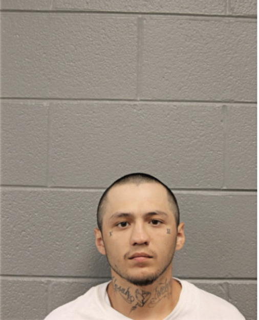 FELIX TRINIDAD FLORES-CARRERA, Cook County, Illinois