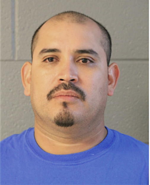 LUIS FLORES, Cook County, Illinois