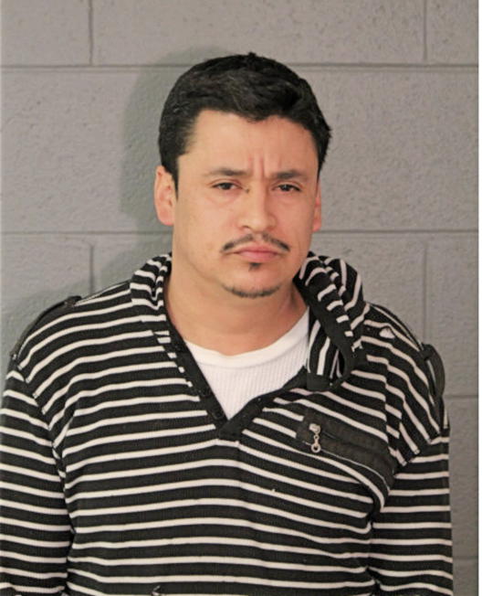 CARLOS G GARCIA, Cook County, Illinois