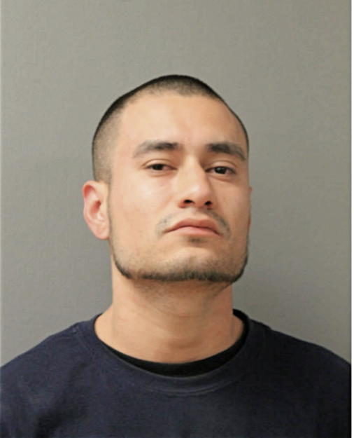 JOSE J GARRO, Cook County, Illinois