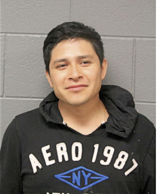 FERNANDO A GUADALUPE, Cook County, Illinois