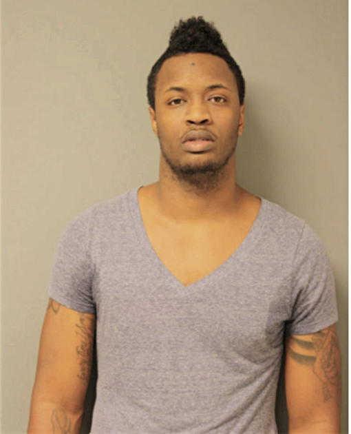 DAMARCO P HOLMES, Cook County, Illinois
