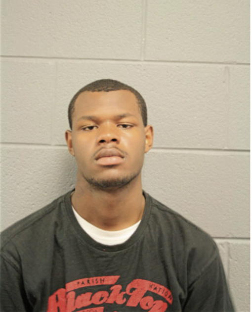 NICHOLAS L JOHNSON, Cook County, Illinois