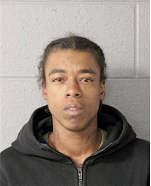KATHY S LANGSTON, Cook County, Illinois