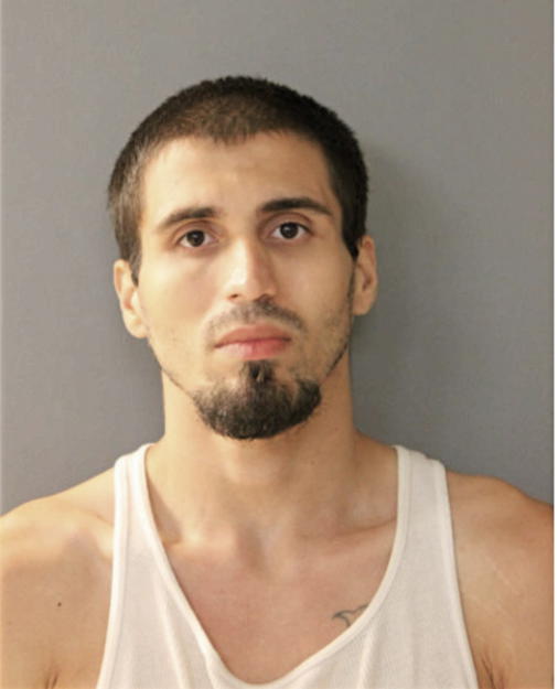 ANTHONY C LAROSA, Cook County, Illinois