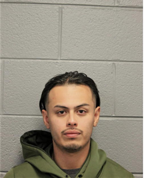 DAVID D LINARES, Cook County, Illinois