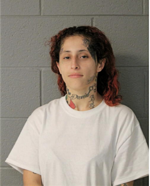 JESSICA L MALDONADO, Cook County, Illinois