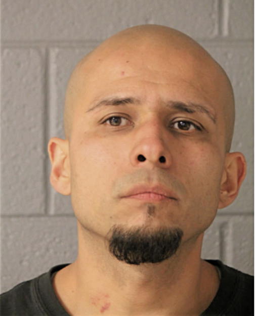 PEDRO H MENEZ, Cook County, Illinois
